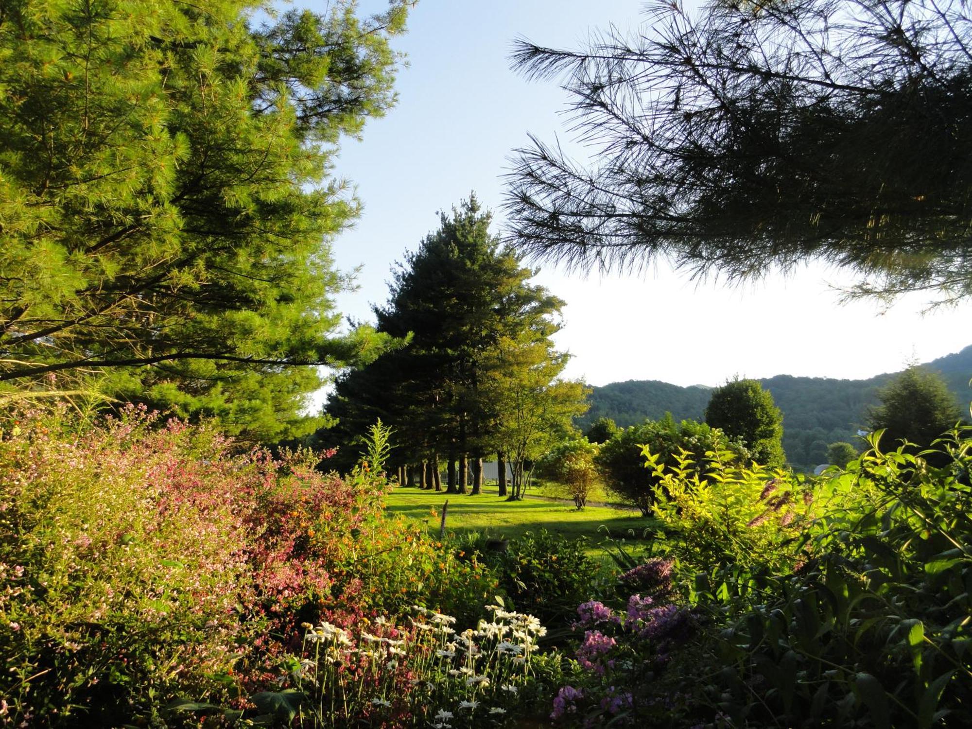 Beech Manor By Vci Real Estate Services Beech Mountain Kültér fotó